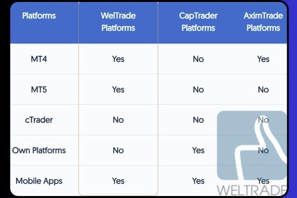 Platform การเทรด