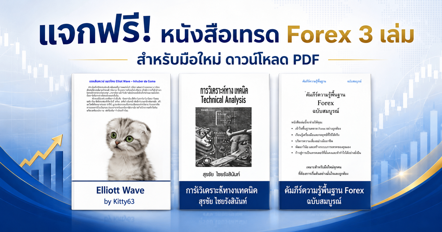 แจกฟรี หนังสือ forex pdf